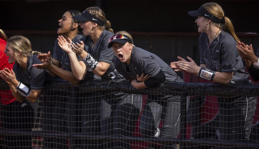 The WKU softball team cheers while two runs are scored after junior catcher/outfielder Jessica Bush (22) hit a home run during the game against the University of Akron at the WKU Softball Complex on March 5, 2023. WKU won 5-0.