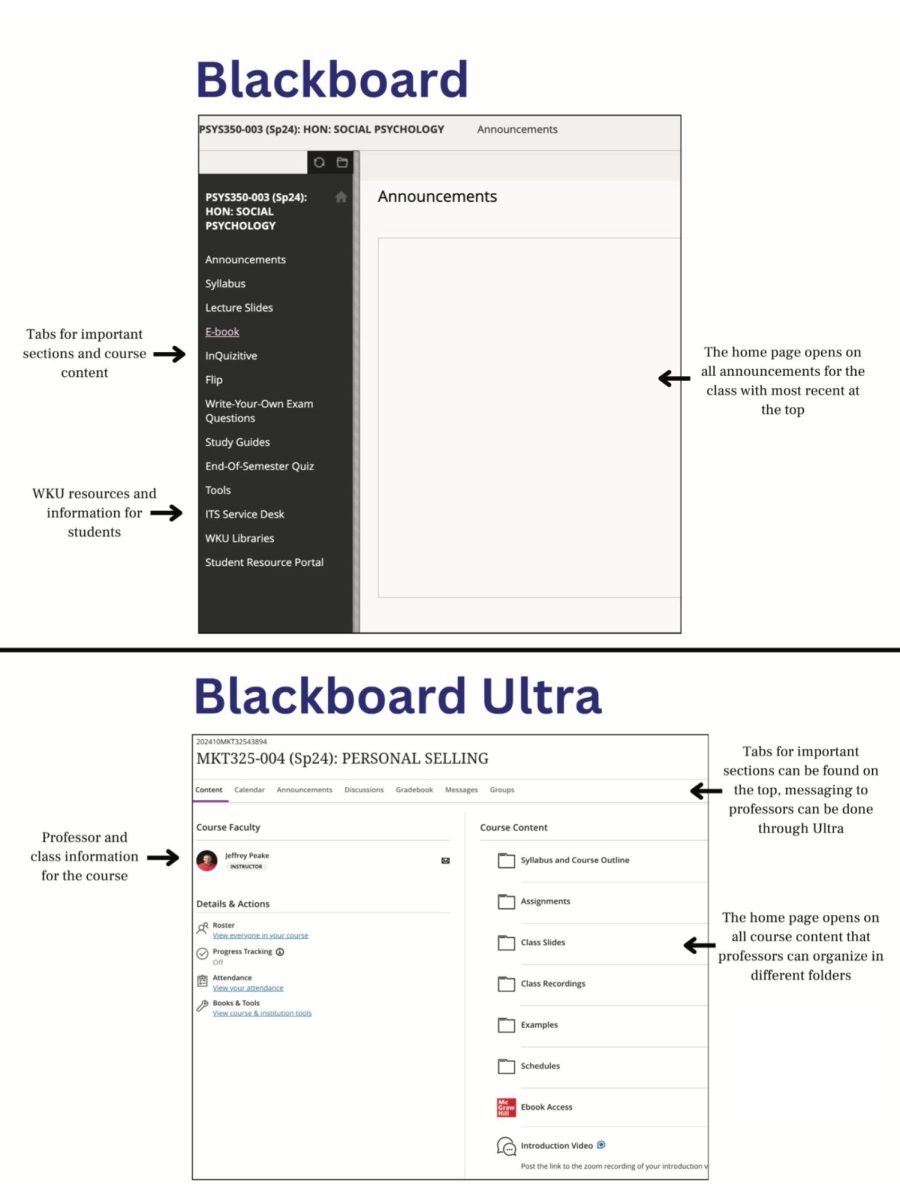 AI's Impacts on Blackboard Ultra
