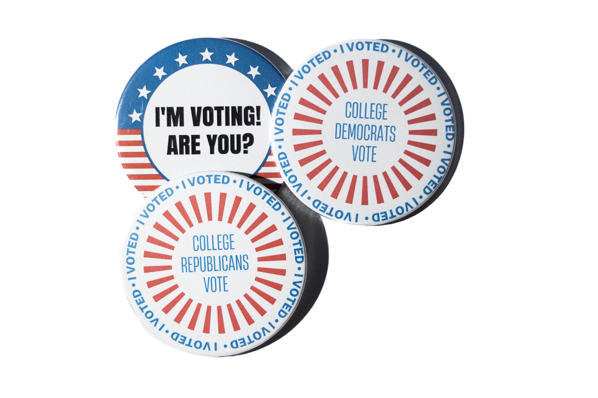 ‘It’s important because it is your right’: Election Protection group shares experiences at Bowling Green polls