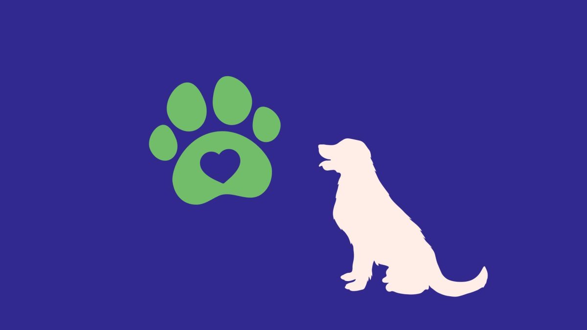 Bowling Green and Warren County Humane Society offers $25 emergency dog adoptions