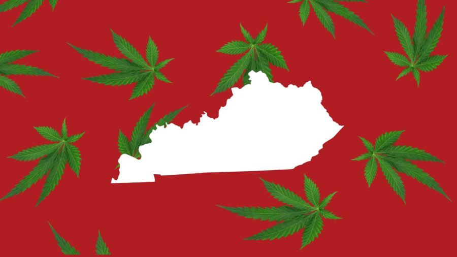 Letter to the Editor: The correct debate concerning cannabis