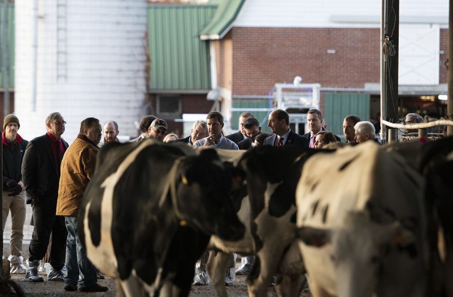 Governor Andy Beshear visits the SmartHolstein lab at Western Kentucky University on Thursday, Nov. 8, 2021. The SmartHolstein lab is a partnership between the Holstein Association USA and WKU's Department of Agriculture and Food Science.