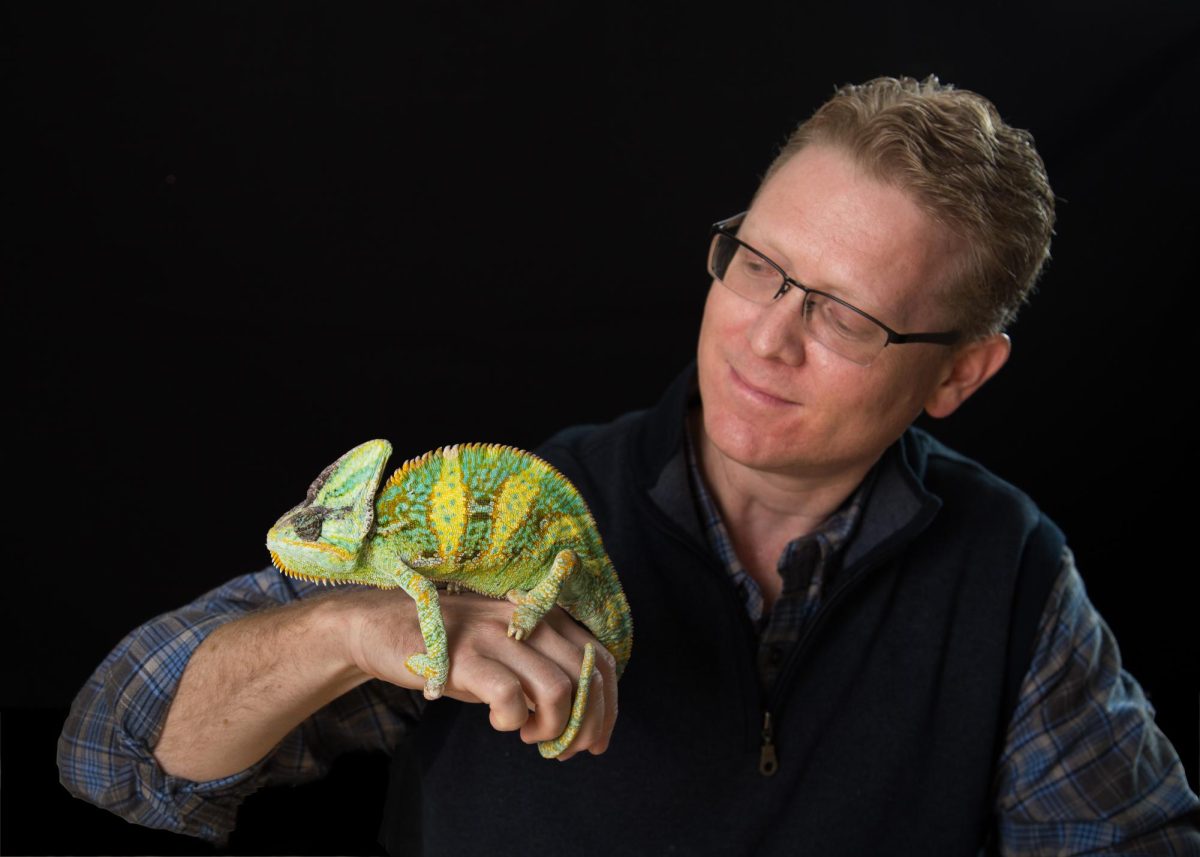 WKU biology professor Michael Smith is seen holding a chameleon. Smith recently took part in a publication that discovered biotremor communication in the species.