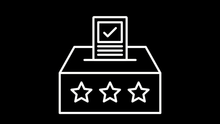 Voting Guide