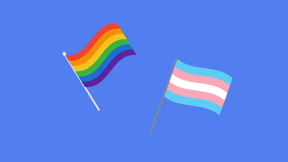 gender identity alliance