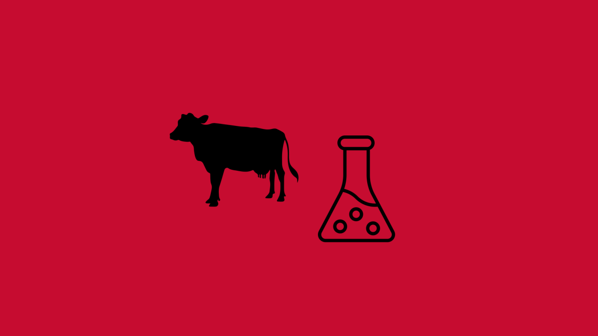 ‘Meat’ the club: WKU Meat Science Club hosts first meeting